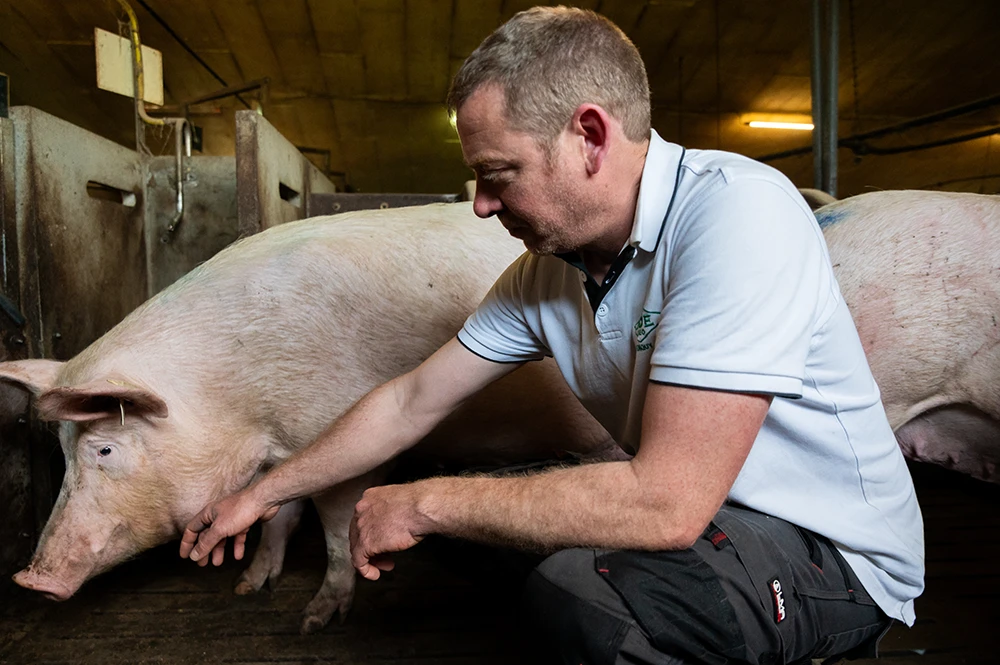 Un éleveur et son porc